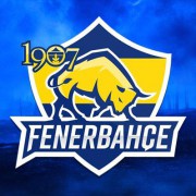 Fenerbahçe Espor (@FBespor) / X