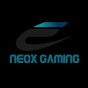 NeoX NeoX GaminG - Team