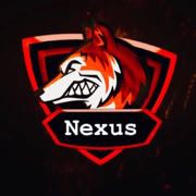 Team Nexus Lions E-SporTs