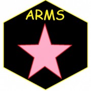 Arms team