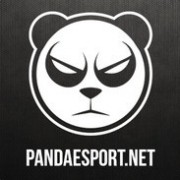 Pandas cs go. Скин Панда для КС. Prodigy команда CS go. Russia 9 Pandas КС. 9 Pandas CS go.